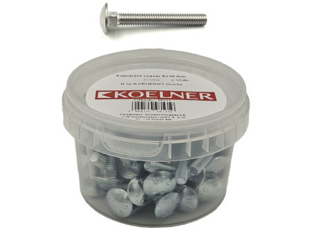 Kapupánt Csavar 8 x 60 mm  66520  B SL- Kapupánt 08060 Műanyag Kördobozos 20db / doboz 